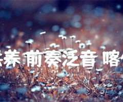 爱的供养 前奏泛音 喀什怒放吉他谱_何晟铭_C调_原版指弹吉他简谱