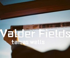 《Valder Fields吉他谱》_tamas wells_D调_吉他图片谱3张