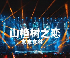 《山楂树之恋吉他谱》_东来东往_吉他图片谱3张