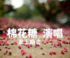 棉花糖（演唱）吉他谱_至上励合_B调_原版弹唱吉他简谱