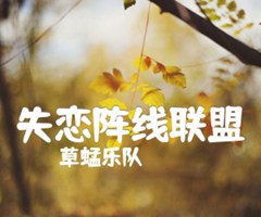 《失恋阵线联盟吉他谱》_草蜢乐队_C调_吉他图片谱2张