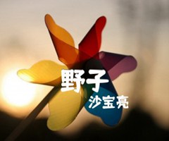 野子吉他谱_沙宝亮_男声版_C调_原版指弹吉他简谱