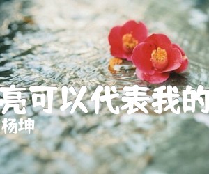 月亮可以代表我的心吉他谱_杨坤_G调_原版指弹吉他简谱