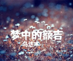 《梦中的额吉吉他谱》_乌达木_C调_吉他图片谱1张