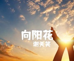 《向阳花吉他谱》_谢天笑_双吉他_C调_吉他图片谱4张