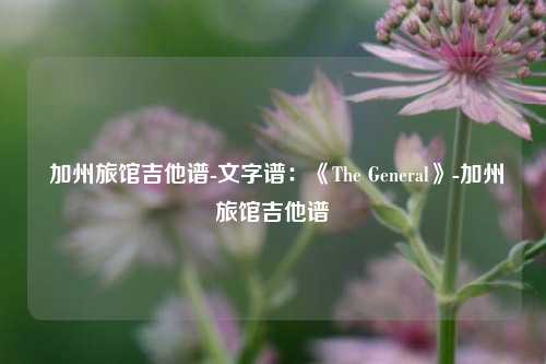  加州旅馆吉他谱-文字谱：《The General》-加州旅馆吉他谱