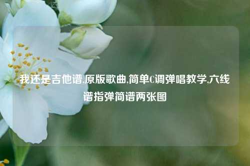 我还是吉他谱,原版歌曲,简单C调弹唱教学,六线谱指弹简谱两张图