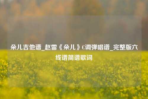 朵儿吉他谱_赵雷《朵儿》C调弹唱谱_完整版六线谱简谱歌词